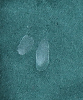 Country Casuals Women's Green Blazer, Size 12