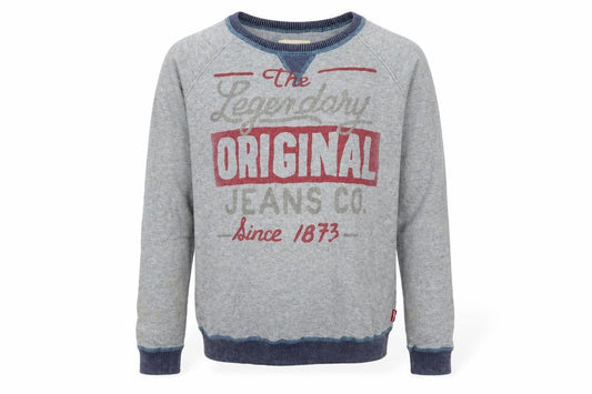 Levi's Boys Grey Pullover Jumper 14 Years, Graphic Print