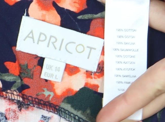 Apricot Multicoloured Floral A-Line Dress Size 14