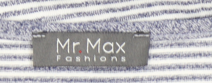 Mr Max Fashions Women's Blue Striped T-Shirt Size M