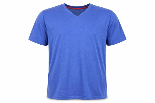 FTS Men's Blue V-Neck 2XL T-Shirt, Regular Fit, Solid