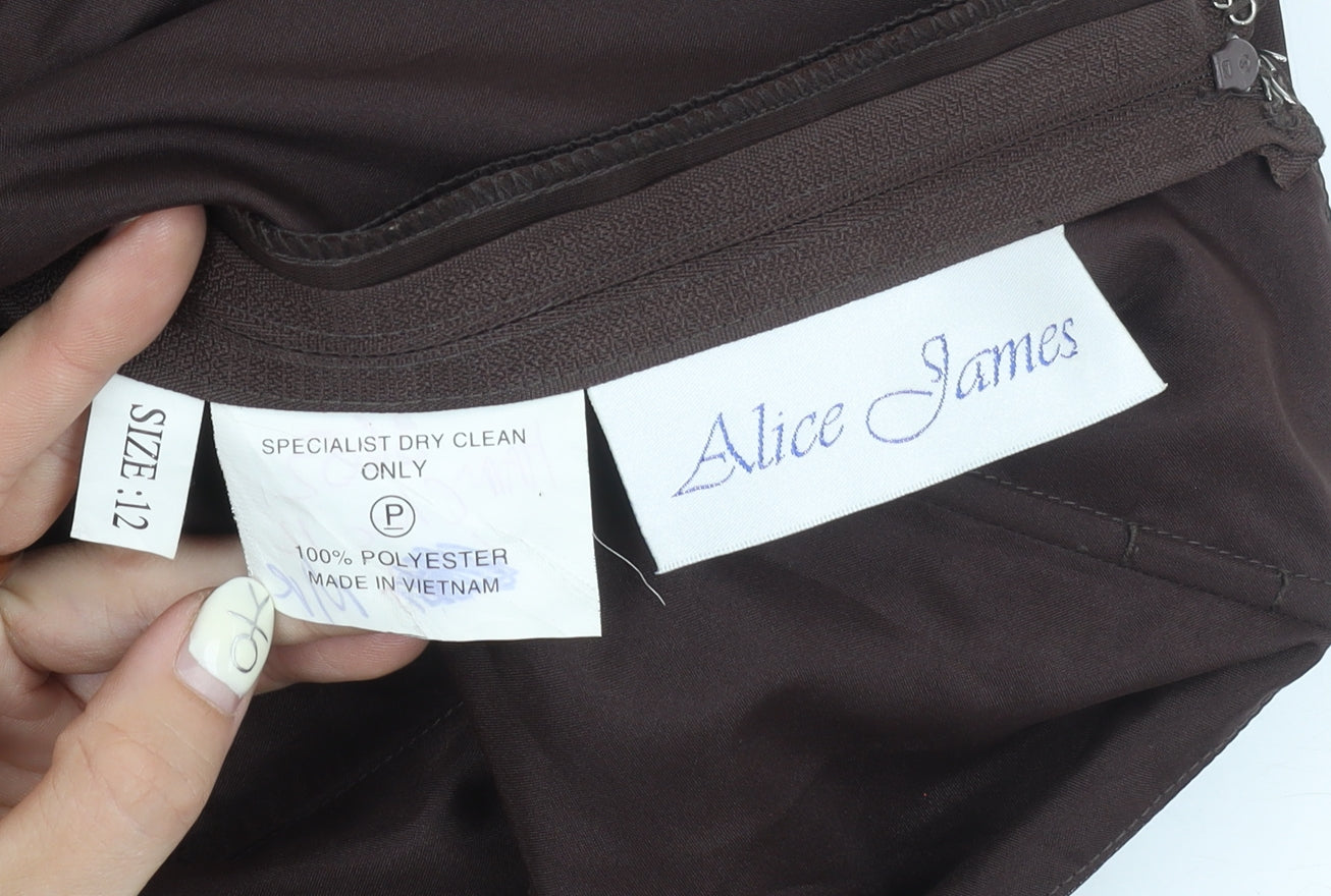 Alice James Women's Brown A-Line Dress Size 12