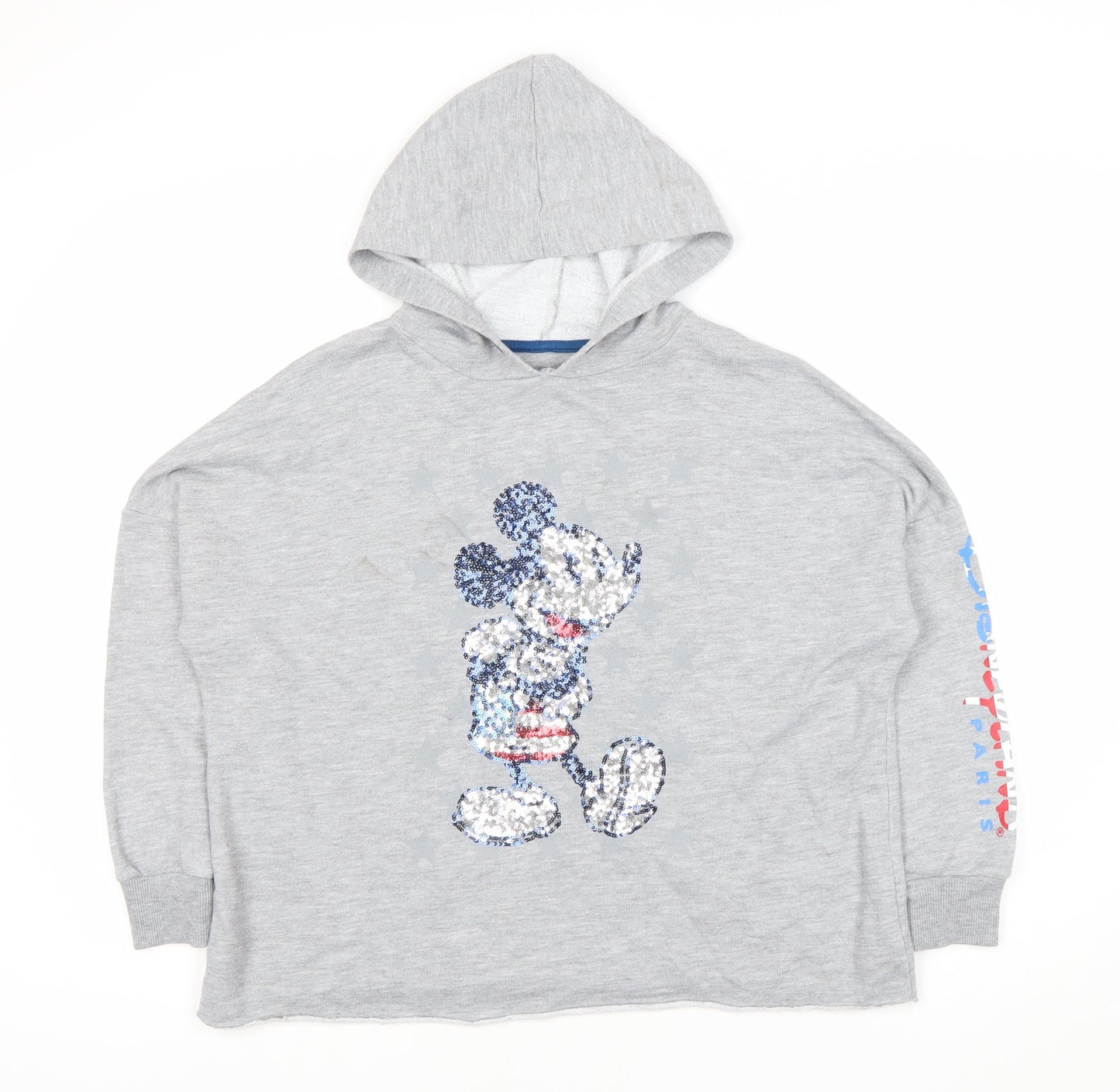 Teens UK Size 10 Disneyland Paris Grey Hoodie Hoodie