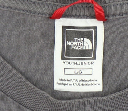 The North Face Boys Grey Logo T-Shirt Size L Casual
