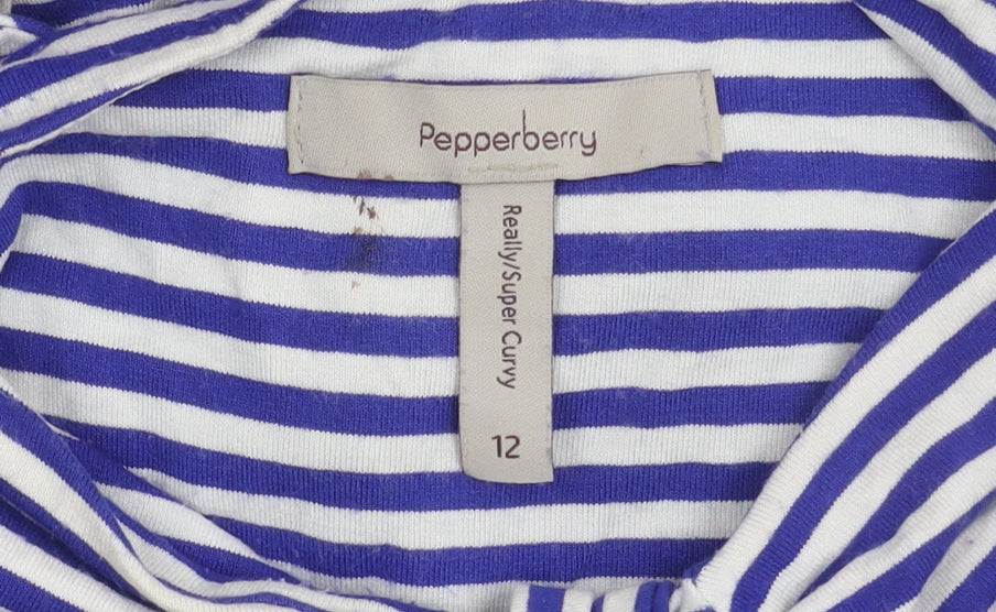 Pepperberry Women’s Multicoloured Striped A-Line Dress