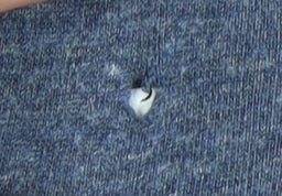 Superdry Men's Blue Crew Neck T-Shirt, Size M