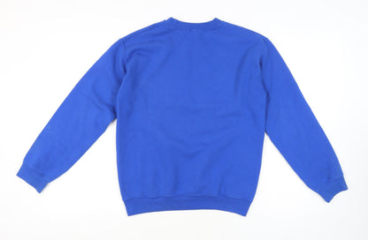 Skinnydip London Women's Blue Pullover Sweatshirt S