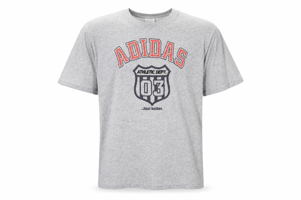 Front view of Adidas Men's Grey Graphic Print T-Shirt, XL, Sports Style