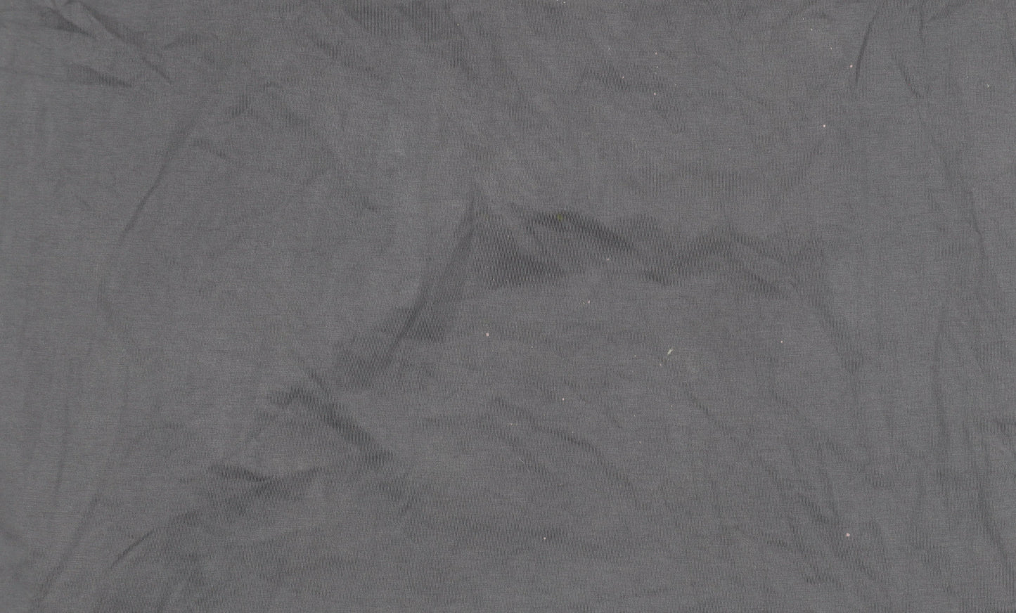 Body Spinner Men's Grey Graphic Print T-Shirt L