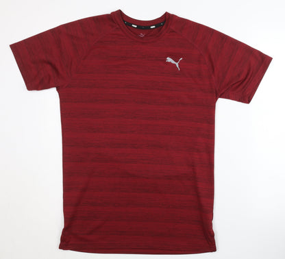 Puma Men's Red Gym & Training T-Shirt, Size S