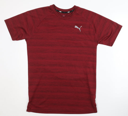 Puma Men's Red Gym & Training T-Shirt, Size S
