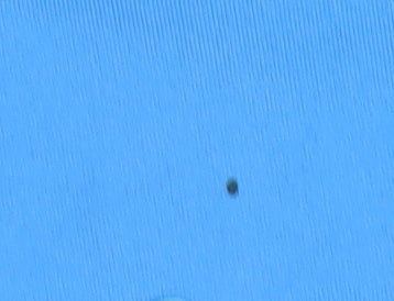 Crane Men's Blue Gym T-Shirt Size M Short Sleeve Jersey