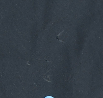 Nike Womens Black Athletic Shorts XL Dri-FIT