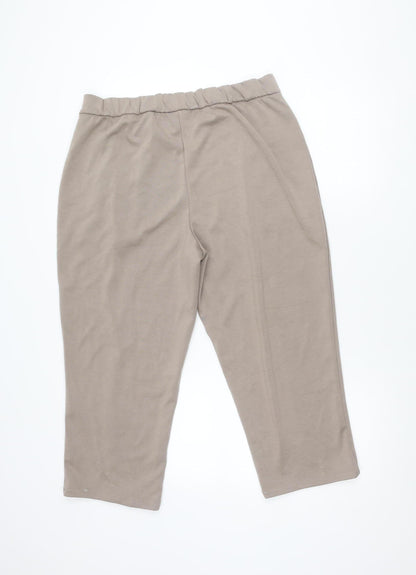 Elie Tahari Women's Brown Trousers L