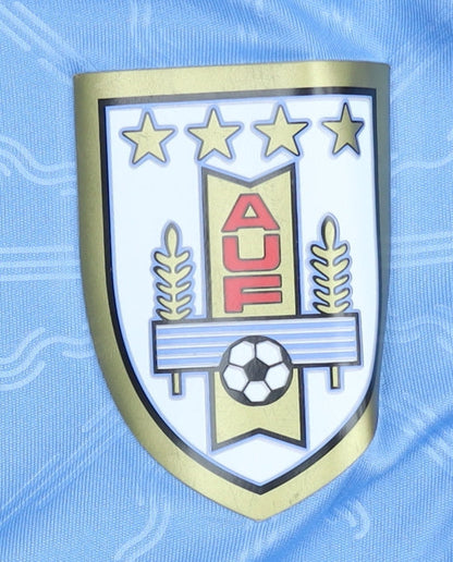 Puma Men's Blue Medium Short Sleeves Home Football Shirt