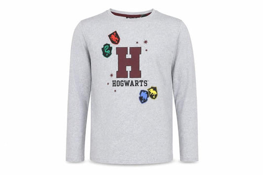 Harry Potter Boys Grey Hogwarts T-Shirt, Size 9-10 Years