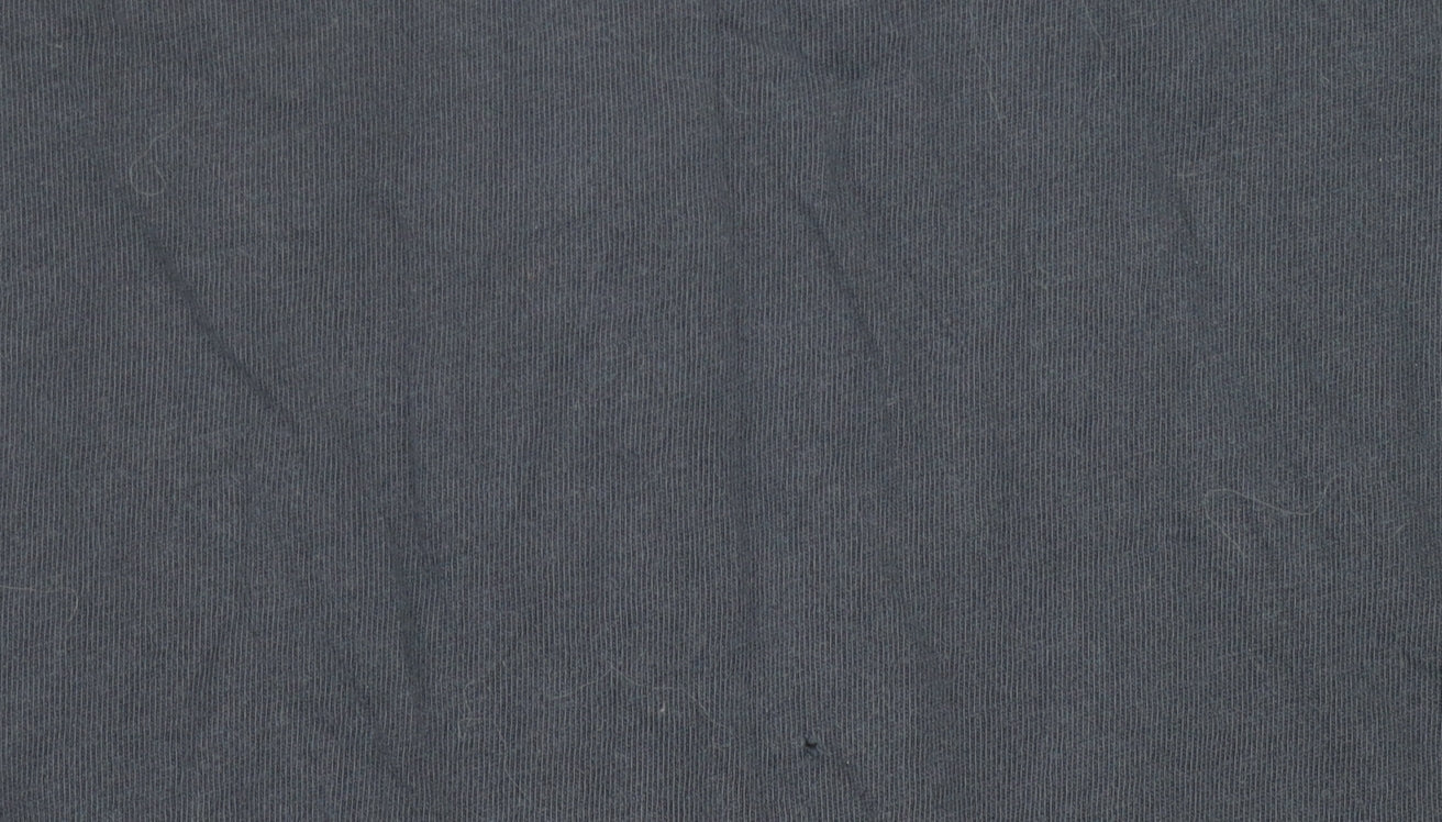 Polo Ralph Lauren Men's Blue S T-Shirt