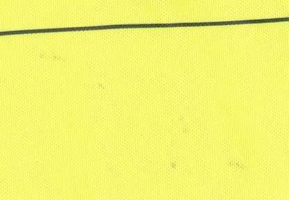 Puma Borussia Dortmund Home Shirt L Adults Yellow Short Sleeves