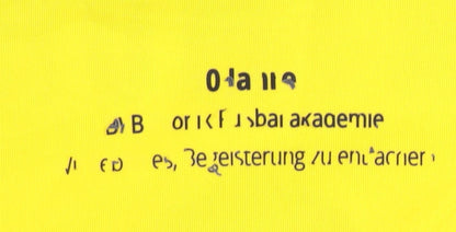 Puma Children's Yellow Haaland Dortmund Home Shirt