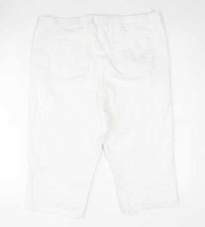 Capsule Women's White Shorts Size 20, Cotton Blend