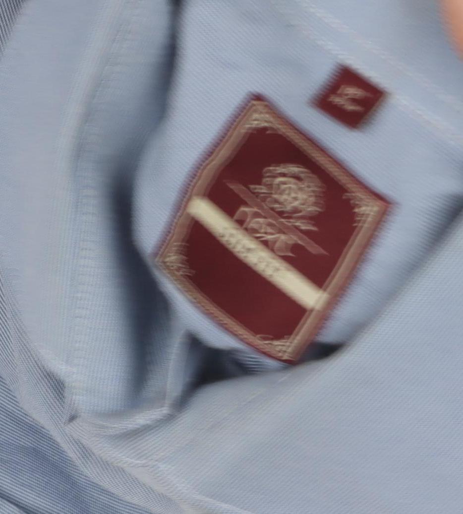 Elegant Men's Blue Striped Formal Dress Shirt L