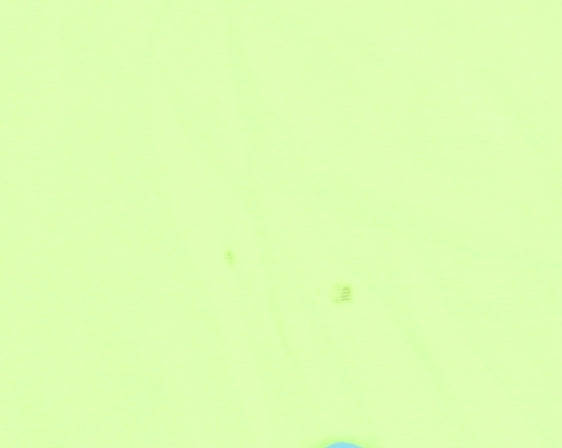 Newline Men's Green Running T-Shirt, Size S