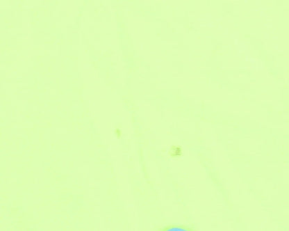 Newline Men's Green Running T-Shirt, Size S