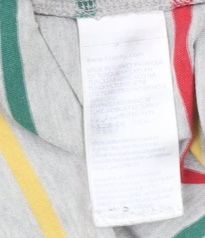 Tommy Jeans Men's Multicoloured Striped T-Shirt M