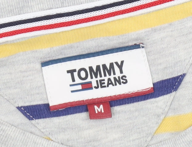Tommy Jeans Men's Multicoloured Striped T-Shirt M