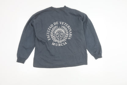 Rapife Men's Grey Pullover Graphic Sweatshirt - S
