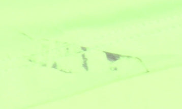 Decathlon Men's Green Reflective Sports T-Shirt M