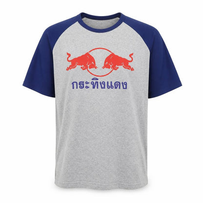 Stylish Grey and Blue Graphic Print Men's Tee - L