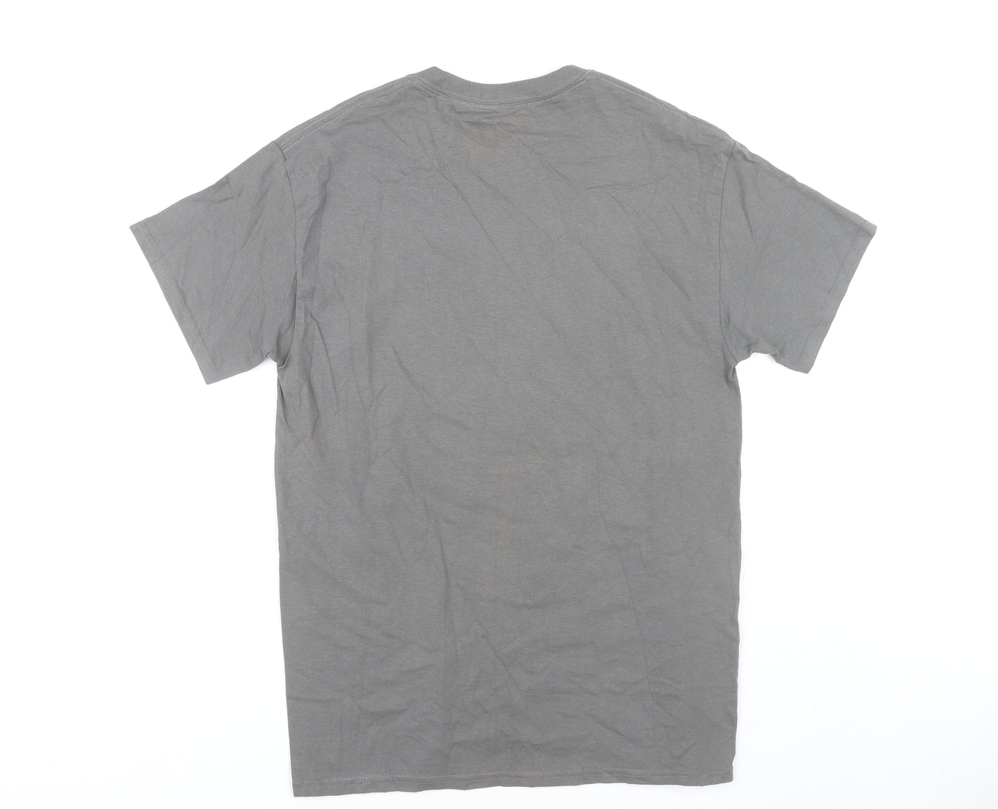 Bathroom Wall T-Shirts Men's Grey Graphic Print Crew Neck Tee M