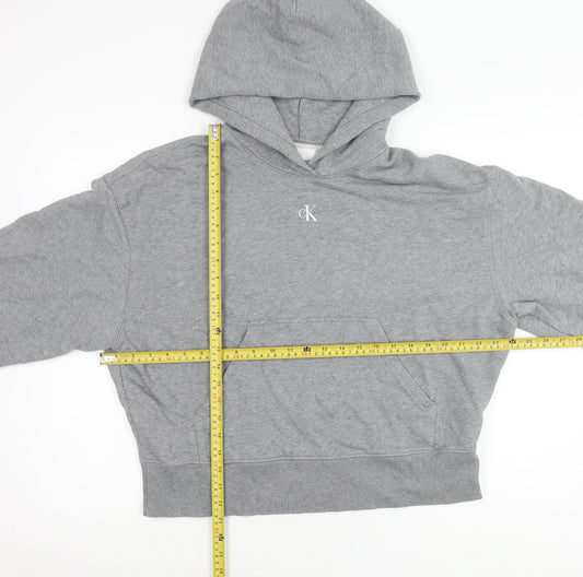 Calvin Klein Jeans Womens Grey Cotton Blend Pullover Hoodie M