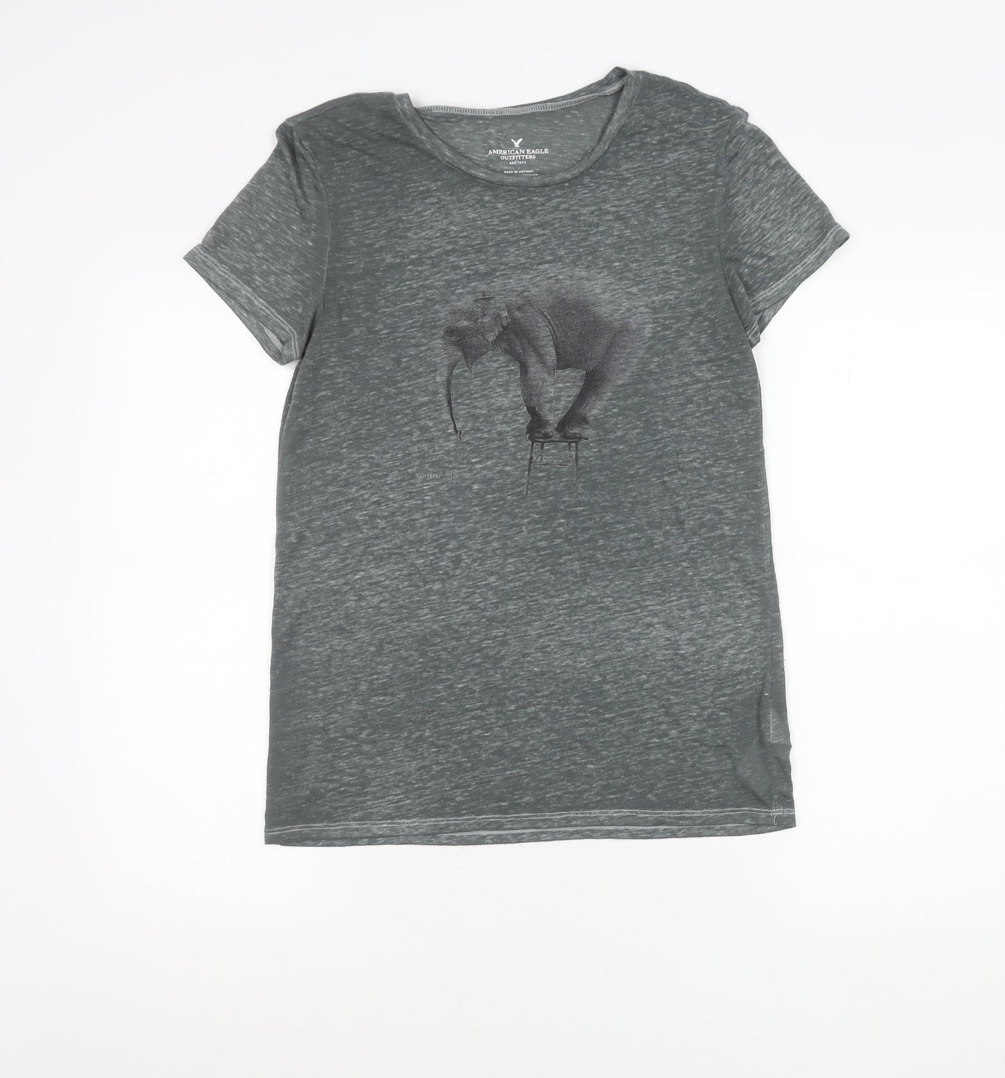 Womens UK Size S American Eagle Outfitters Grey Basic T-Shirt