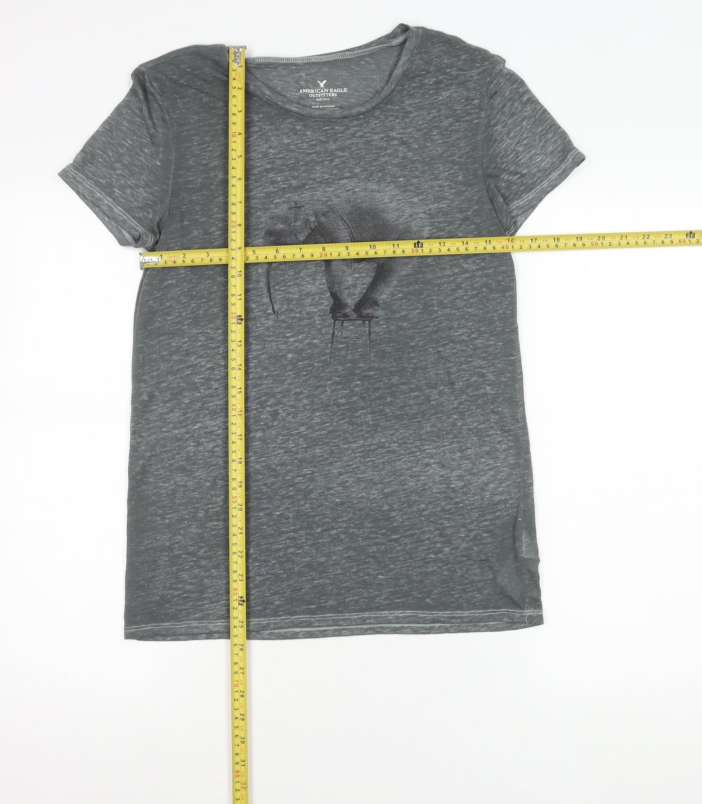 Womens UK Size S American Eagle Outfitters Grey Basic T-Shirt