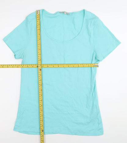 Womens UK Size 12 Pebble Bay Blue Basic T-Shirt