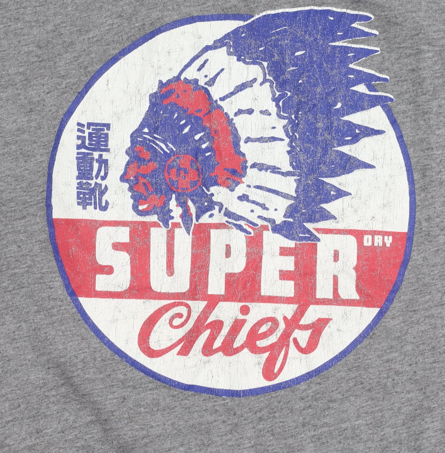 Superdry Mens Grey Graphic Print Retro Crew Neck T-Shirt Size S