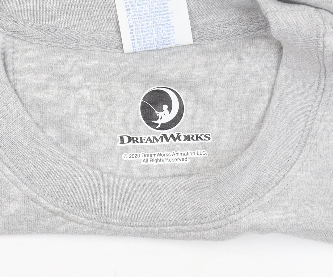 Port & Company DreamWorks Spirit Womens Grey Small Pullover Sweatshirt