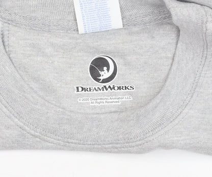 Port & Company DreamWorks Spirit Womens Grey Small Pullover Sweatshirt