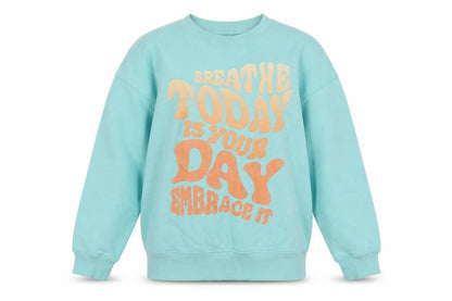 Front view of H&M boys’ blue graphic print sweatshirt 9-10y pullover crew neck
