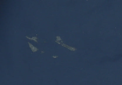 Regatta Men’s Blue Waterproof Rain Trousers M 28-30 Elastic Waist