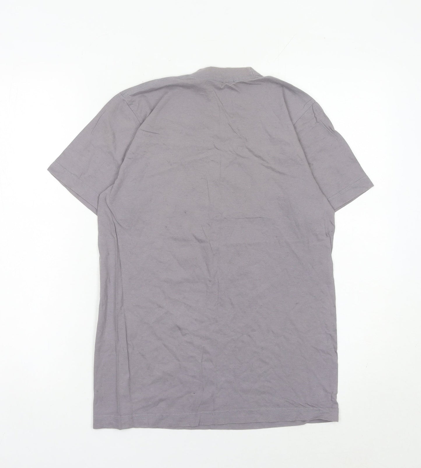 Womens UK Size S American Apparel Grey Basic T-Shirt