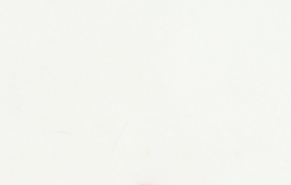 Regatta Women's Ivory Fleece Sweatshirt UK 10 1/2 Zip Outdoor Pullover