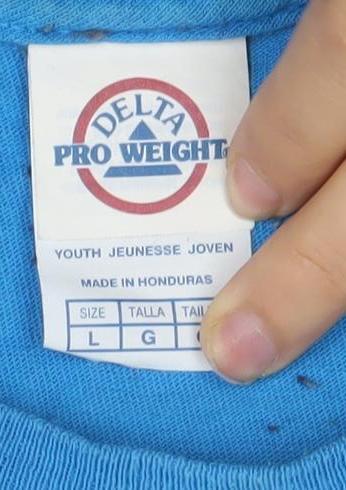 Delta Pro Weight Boys Blue Washington D.C. Graphic T-Shirt Size L
