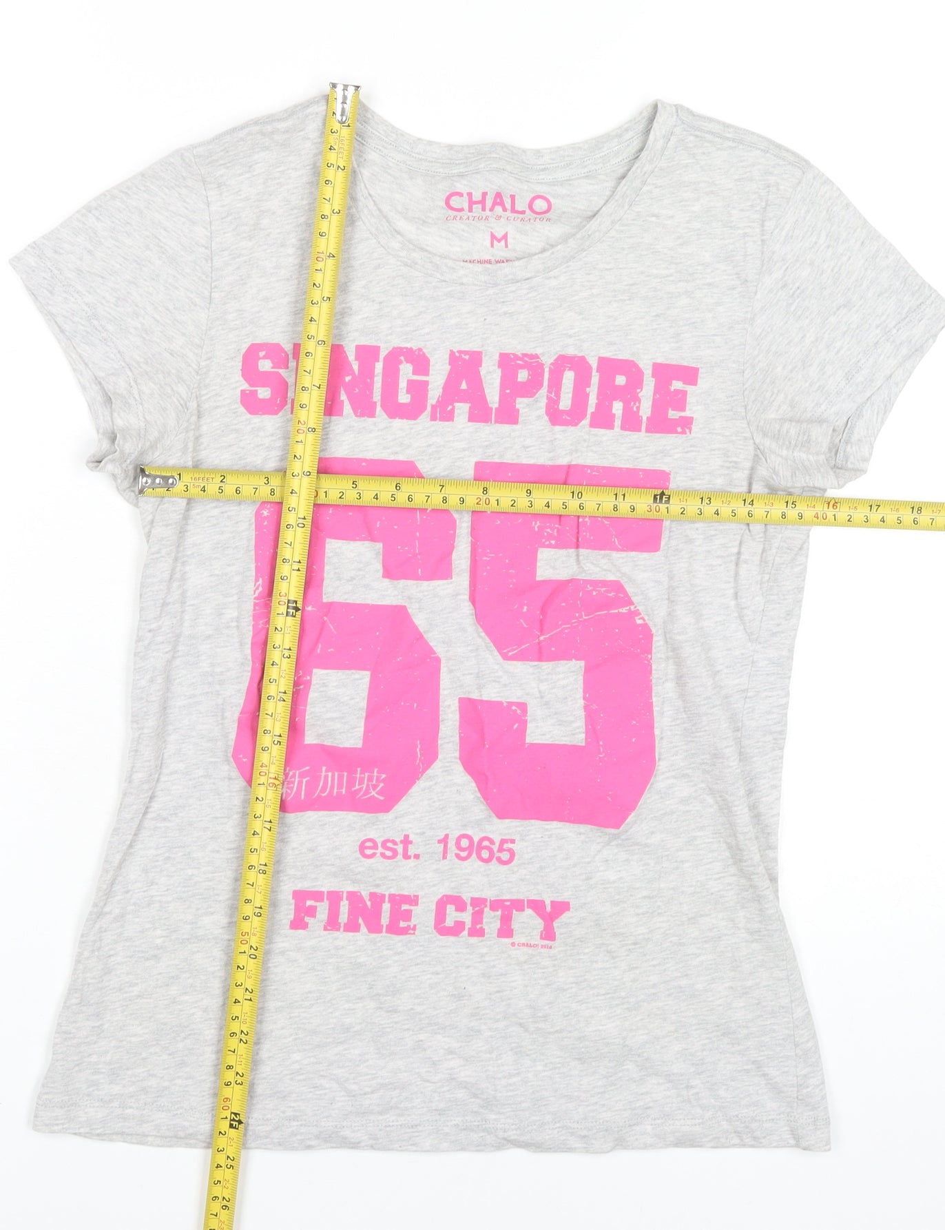 Chalo Womens Grey Cotton Graphic T-Shirt Size M Casual Travel