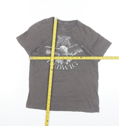 Teens UK Size 10 Harry Potter Grey Basic T-Shirt