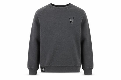 Front view of USHI boys’ grey crew neck sweatshirt 10 years pullover fleece casual