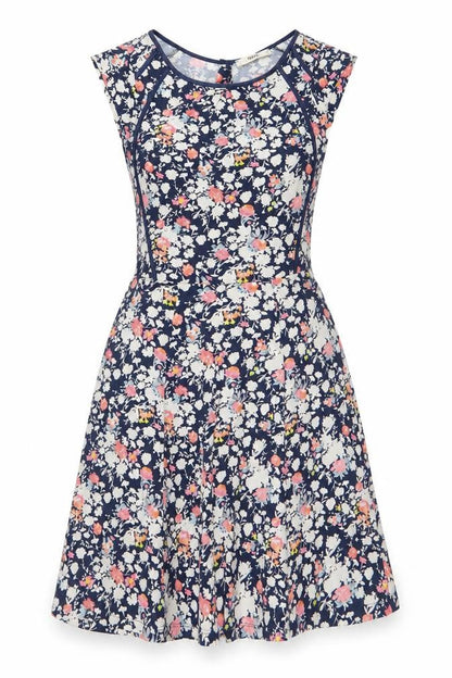Oasis Womens Multicoloured Floral Fit & Flare Dress M
