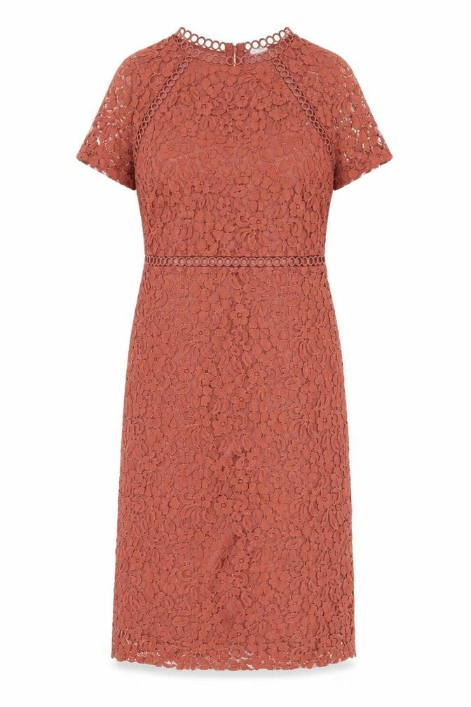 Next Women’s Brown Lace Sheath Dress Size 10 V-Neck Wedding Party
